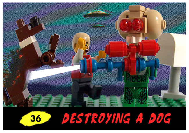 Number 36: "Destroying a dog"